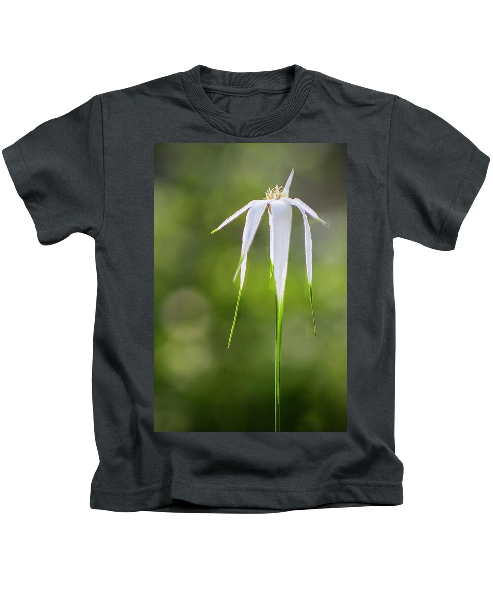 Wildflower Kids T-Shirt featuring the photograph White-topped Sedge Wildflower in the Croatan National Forest by Bob Decker