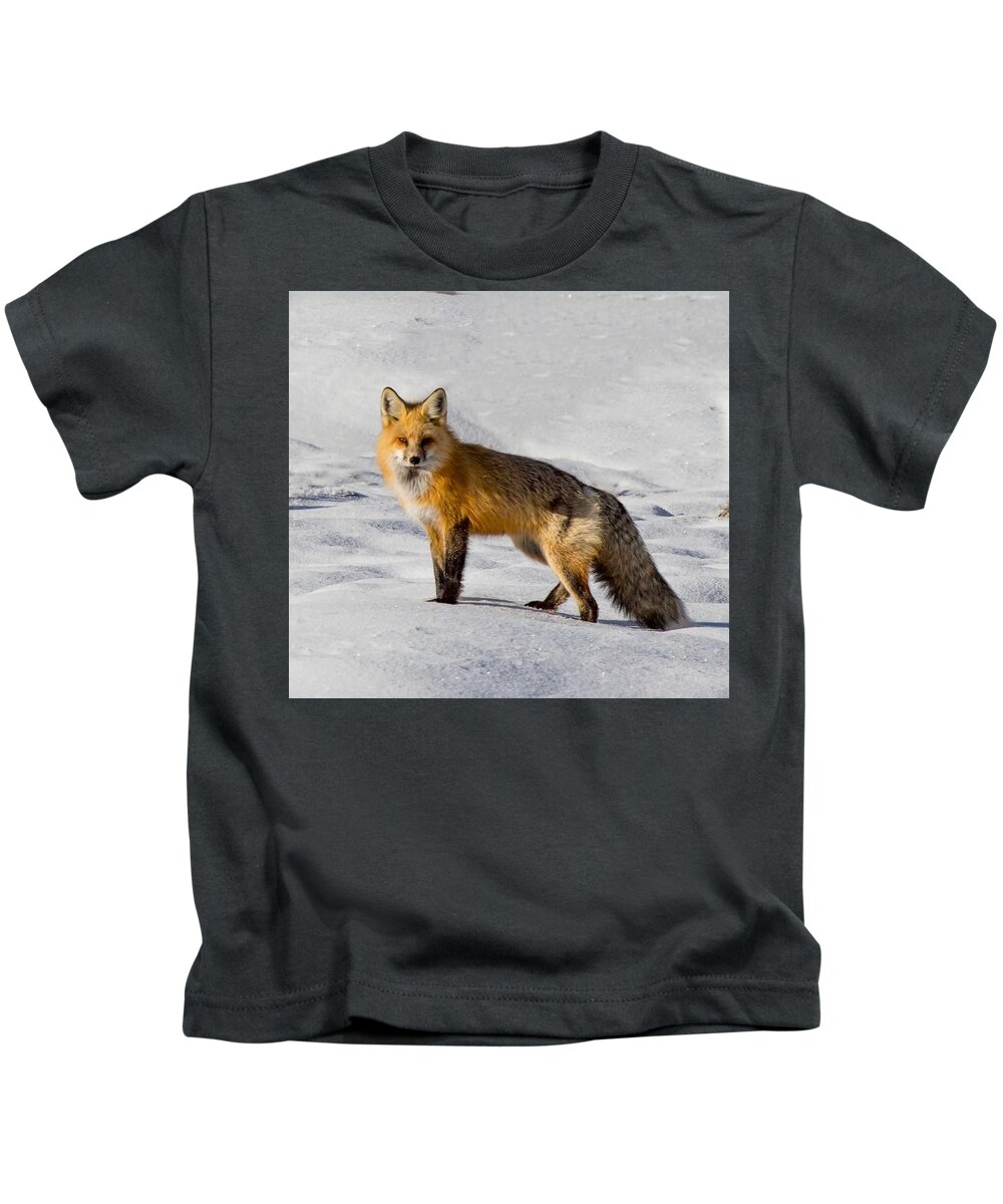 Fox Kids T-Shirt featuring the photograph Vixen by Carolyn Mickulas
