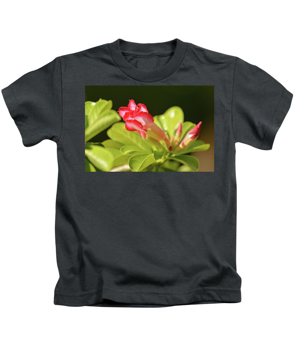 Flower Kids T-Shirt featuring the photograph Waiting to bloom by Nancy Landry