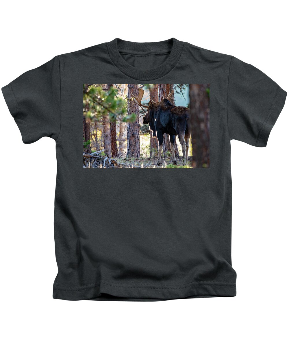 Moose Kids T-Shirt featuring the photograph Watching by Darlene Bushue