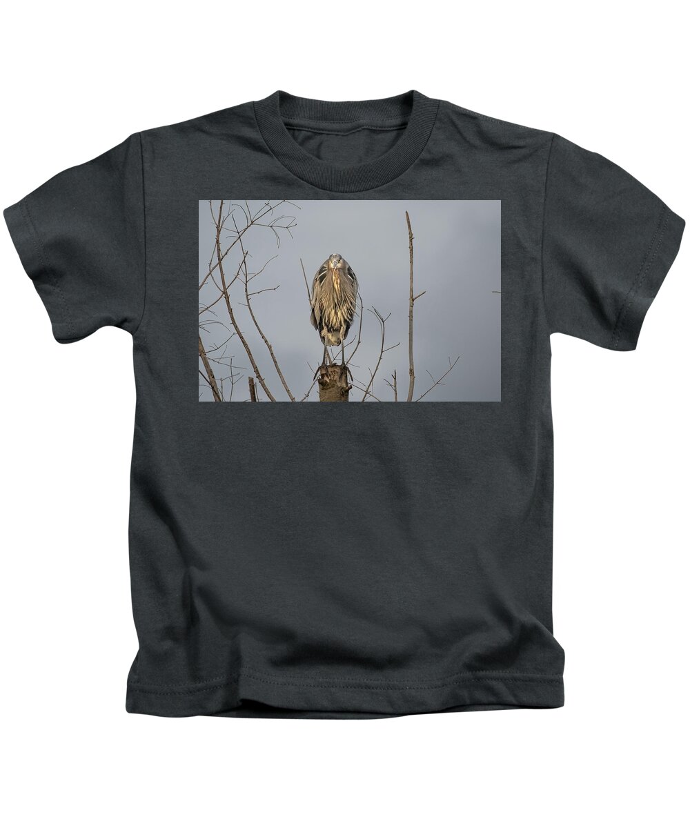 Gbh Kids T-Shirt featuring the photograph Watching by Jerry Cahill