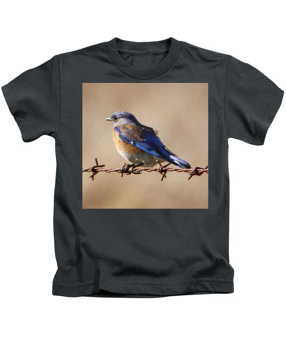Western Bluebird Kids T-Shirt featuring the photograph Western Bluebird by Perry Hoffman copyright twentytwenty