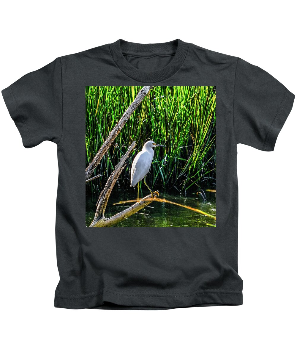 Saint Simons Island Kids T-Shirt featuring the photograph White Egret in Wetland Marsh by Darryl Brooks