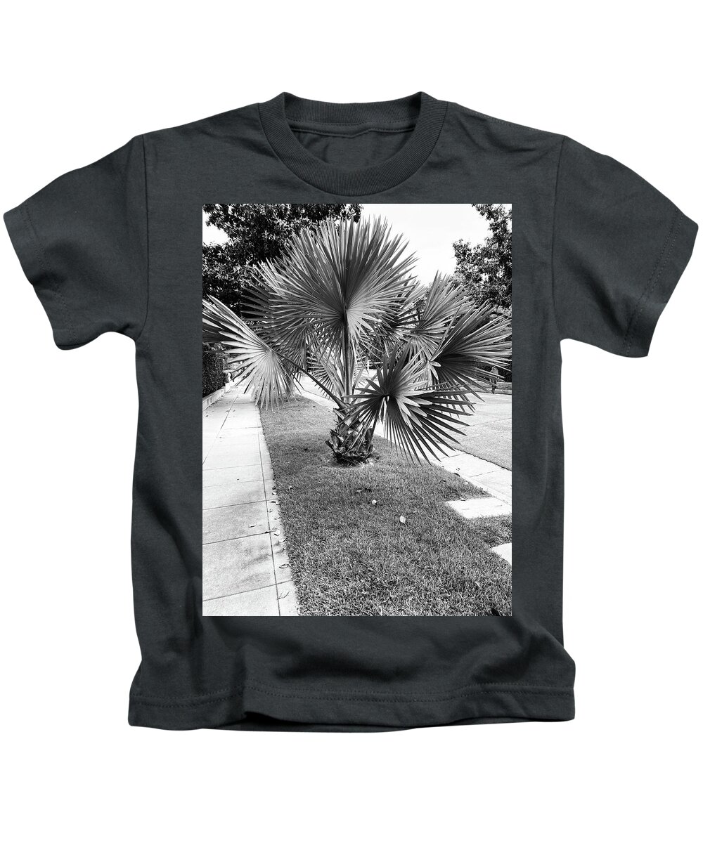 Palm Kids T-Shirt featuring the photograph Will I Be Tall One Day by Calvin Boyer