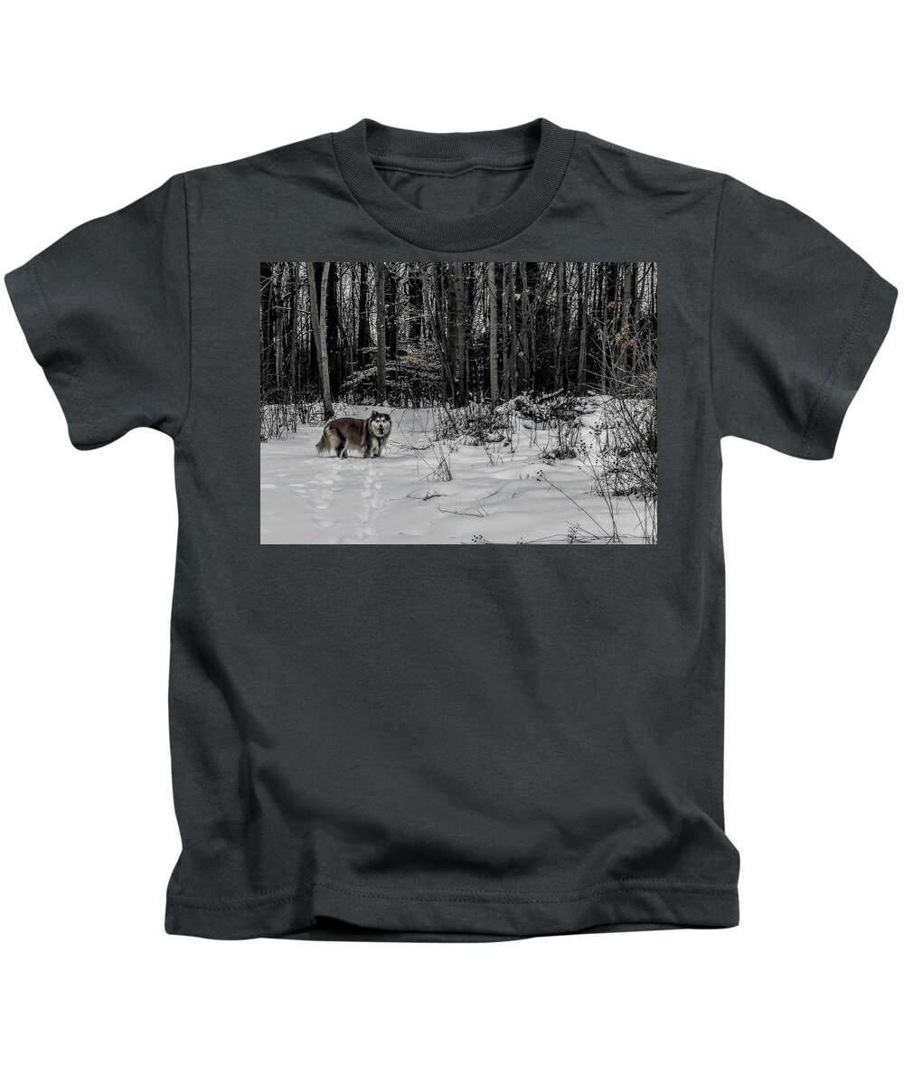  Kids T-Shirt featuring the photograph Winter Hike by Brad Nellis