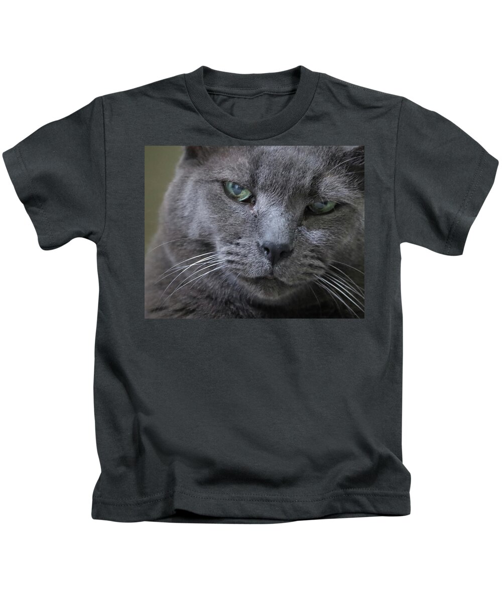 Cat Kids T-Shirt featuring the photograph Wise Old Cat by M Kathleen Warren
