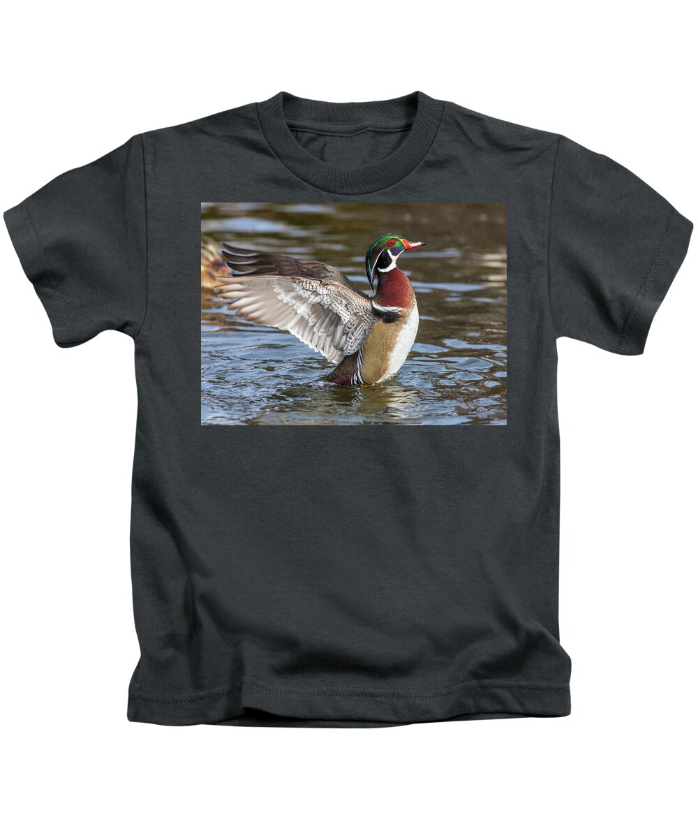 Wood Duck Action Kids T-Shirt featuring the photograph Wood duck action by Lynn Hopwood