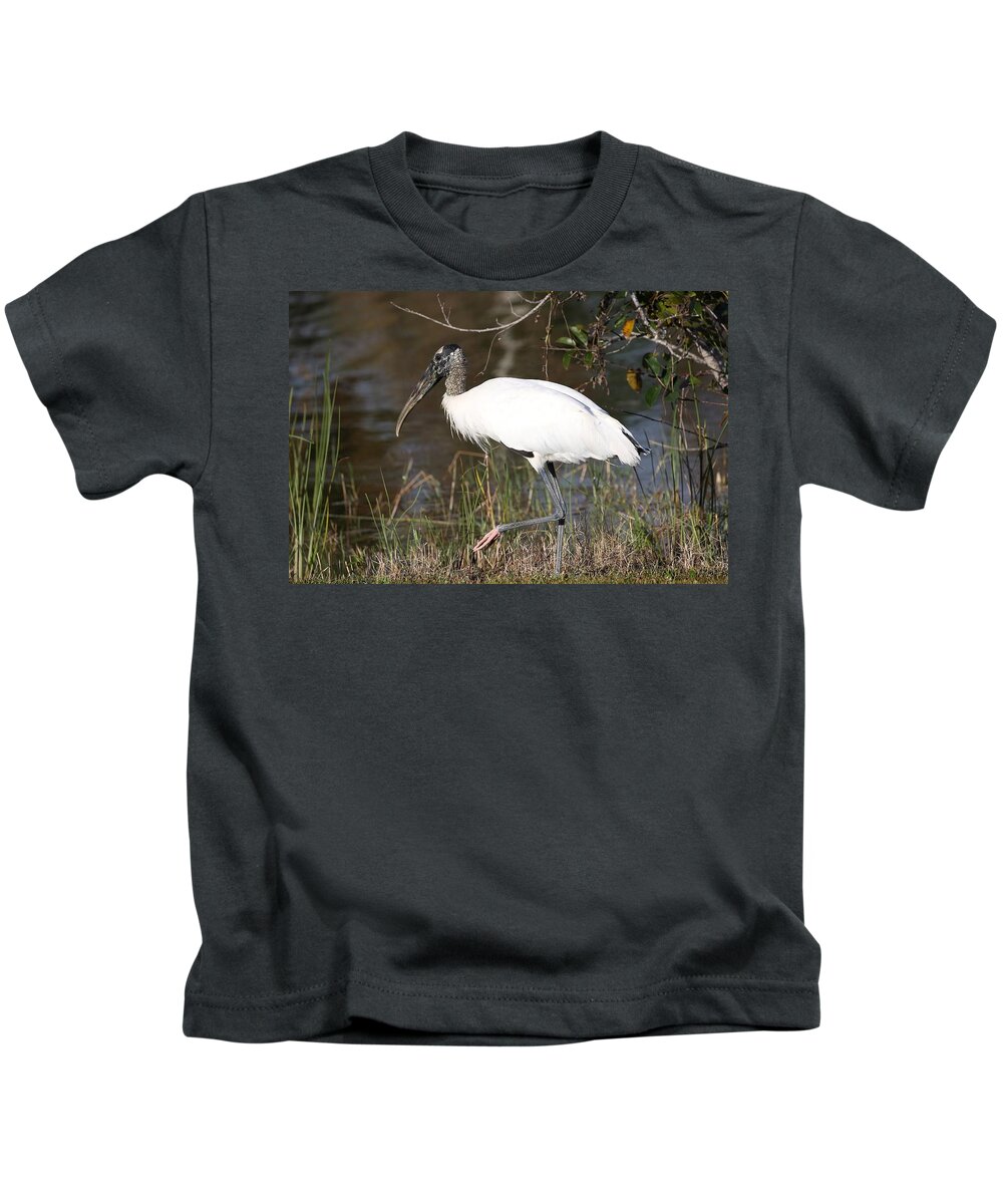Wood Storks Kids T-Shirt featuring the photograph Wood stork 4 by Mingming Jiang