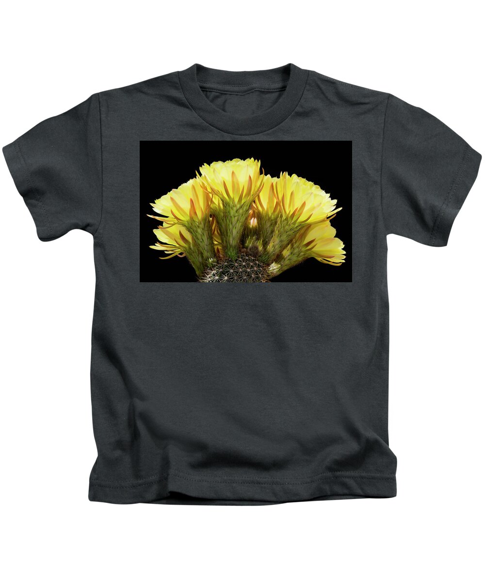 Cacti Kids T-Shirt featuring the photograph Yellow Gold by Kelley King