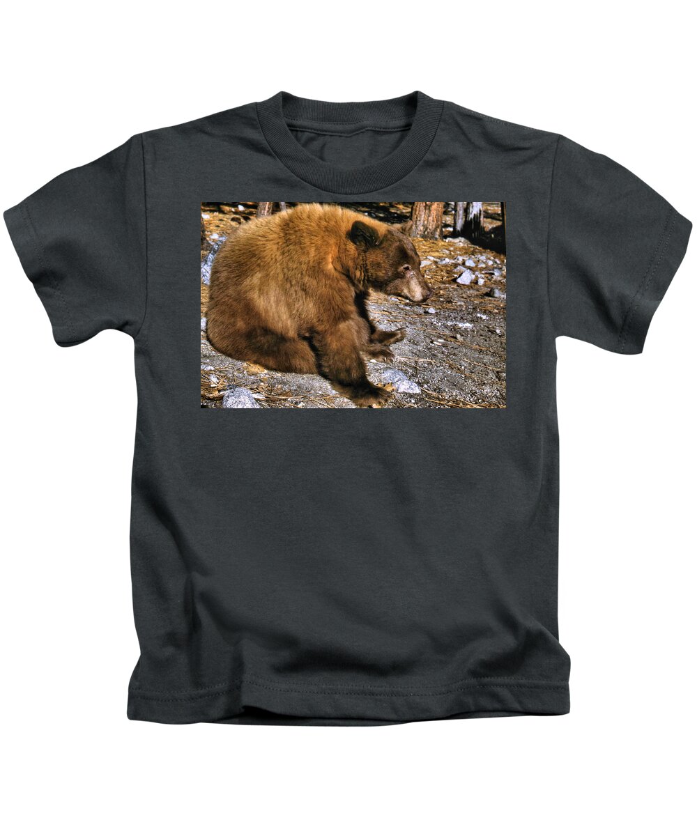 Wildlife Kids T-Shirt featuring the photograph Yosemite Sitting Brown Bear by Russel Considine