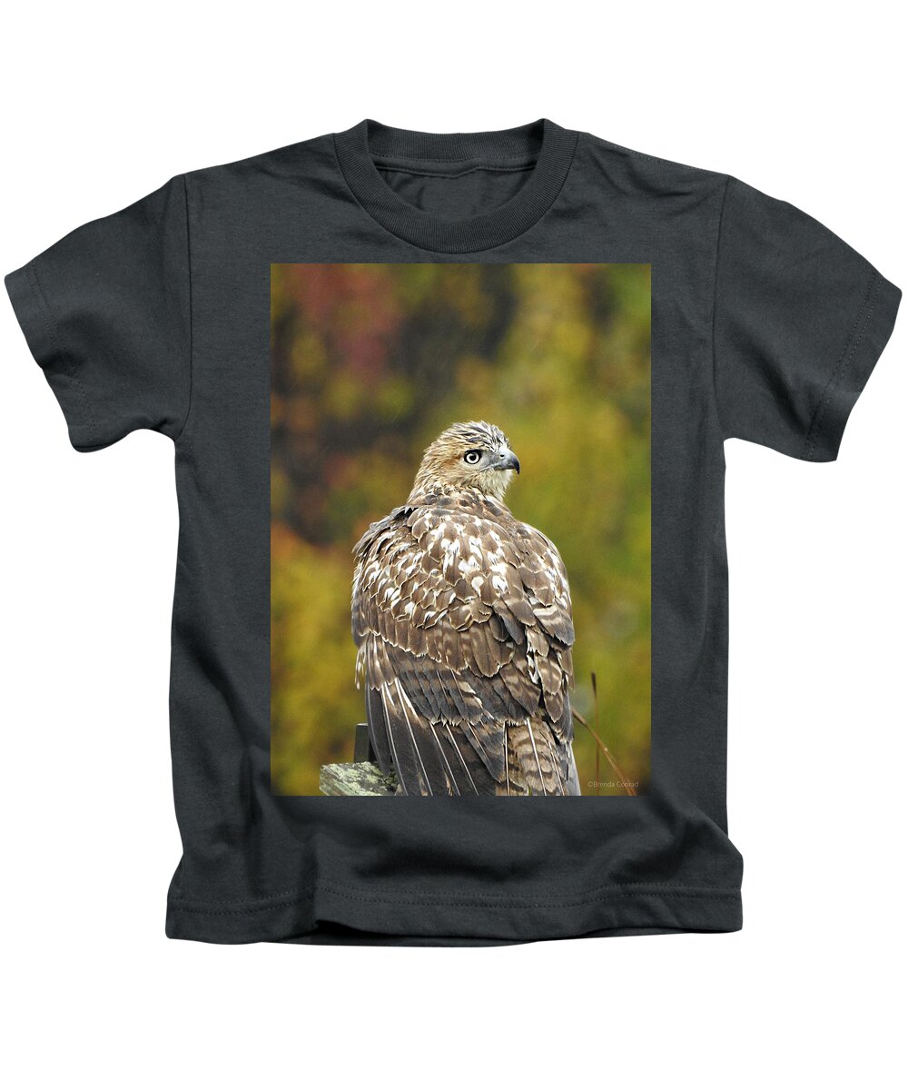 Young Red-tail Kids T-Shirt featuring the photograph Young Red-tail by Dark Whimsy