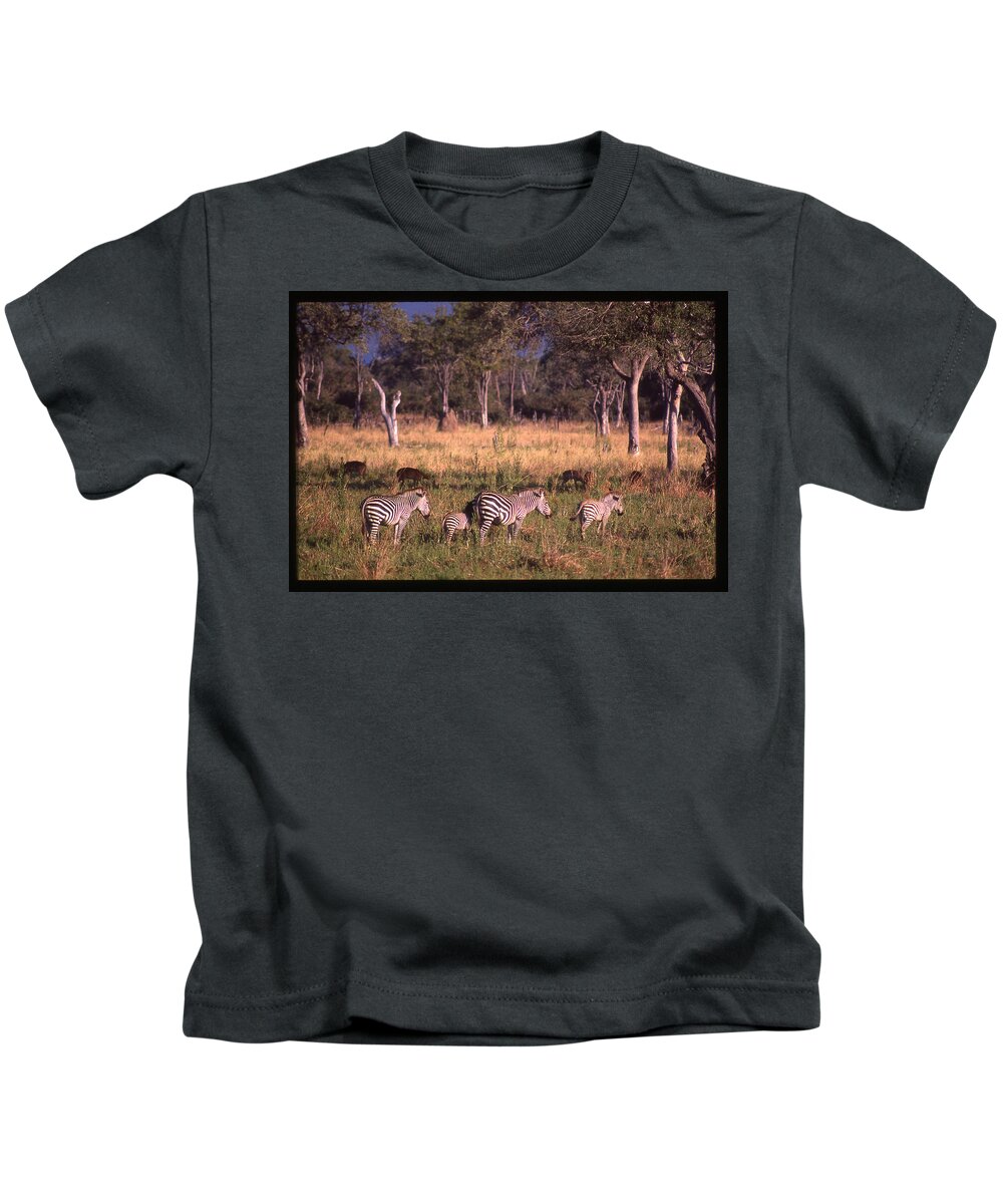 Africa Kids T-Shirt featuring the photograph Zebra Family Landscape by Russ Considine