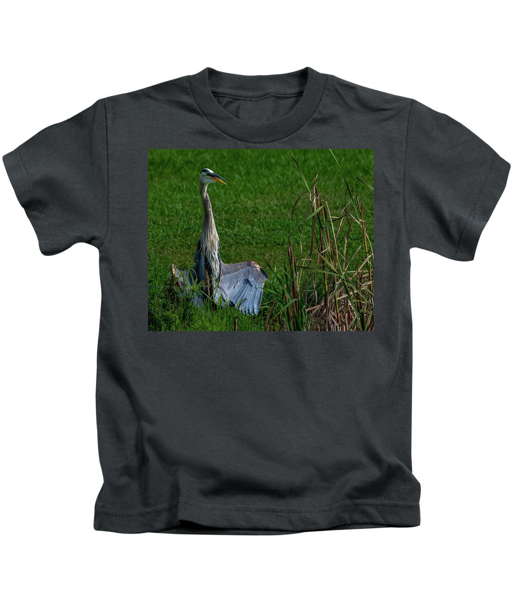 Animals Kids T-Shirt featuring the photograph Zen Heron by Brian Shoemaker