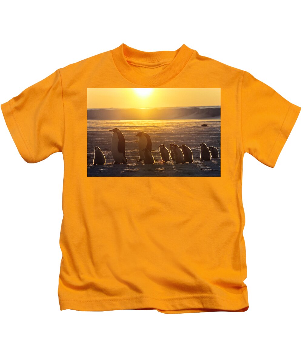 Feb0514 Kids T-Shirt featuring the photograph Emperor Penguins With Chicks Antarctica by Konrad Wothe