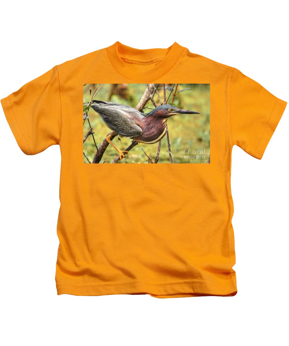 Heron Kids T-Shirt featuring the photograph Green Backed Heron At Magnolia by Kathy Baccari