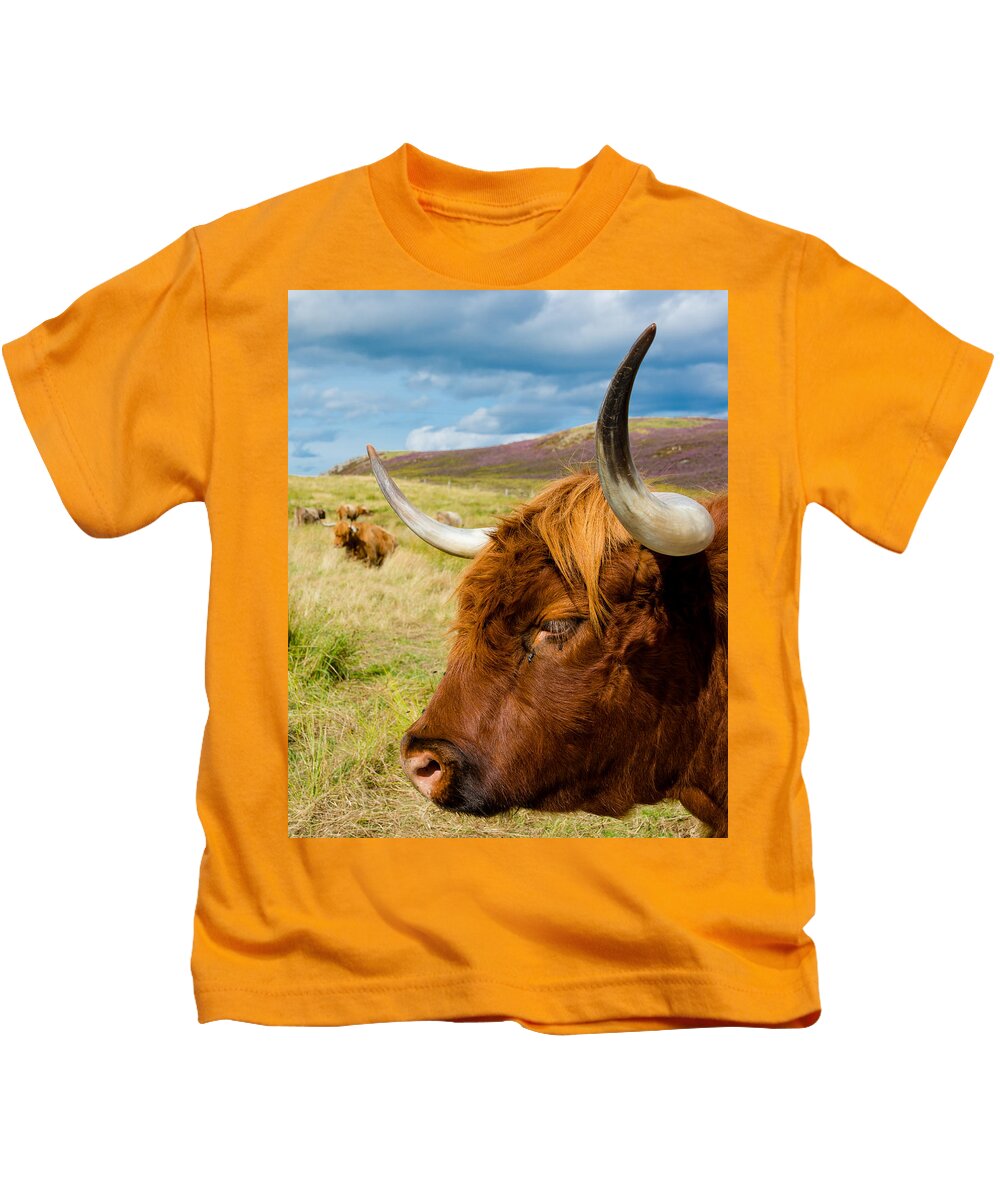 Cow Kids T-Shirt featuring the photograph Highland Cattle On Scottish Pasture by Andreas Berthold