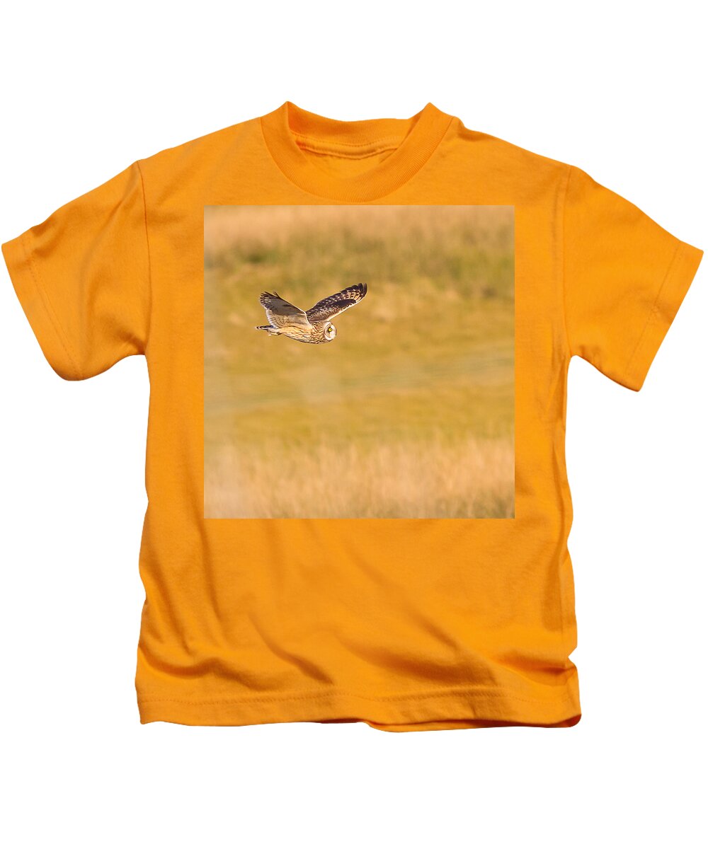 Owl Kids T-Shirt featuring the photograph Short Eared Owl by Brian Williamson