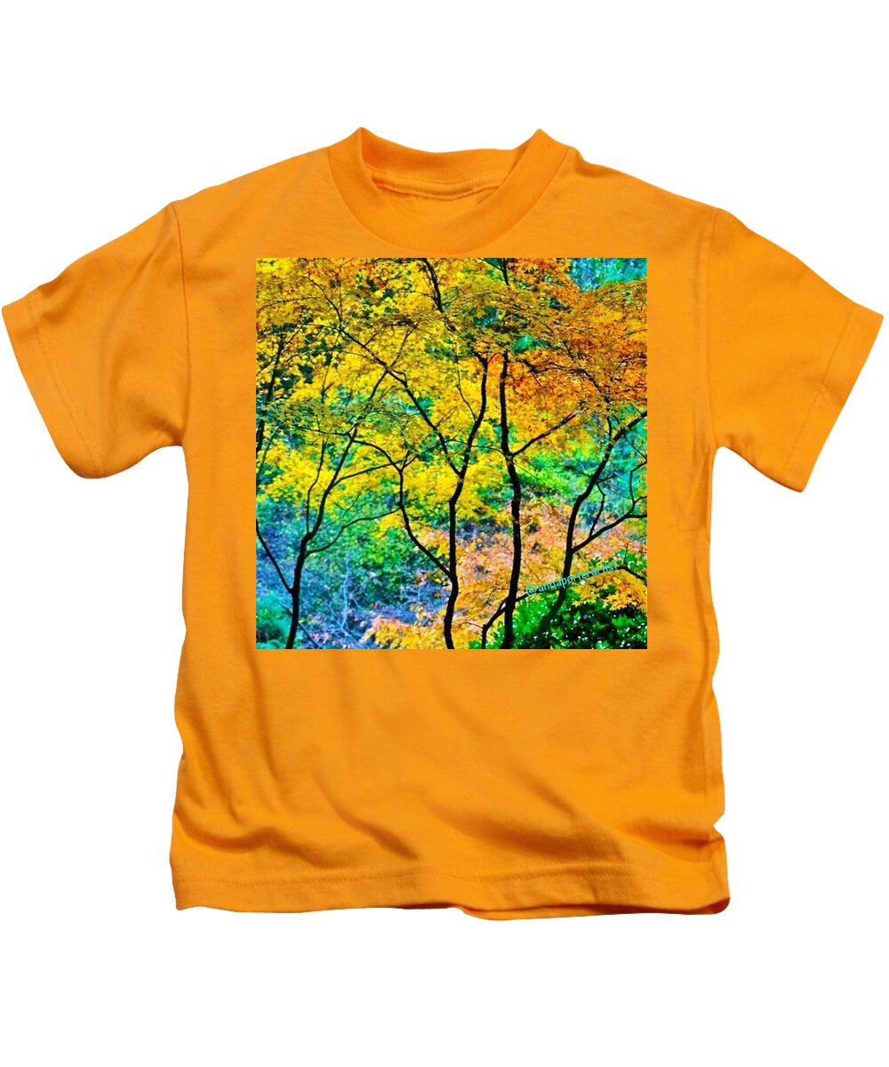Fall Color Kids T-Shirt featuring the photograph Canopy of Life by Anna Porter