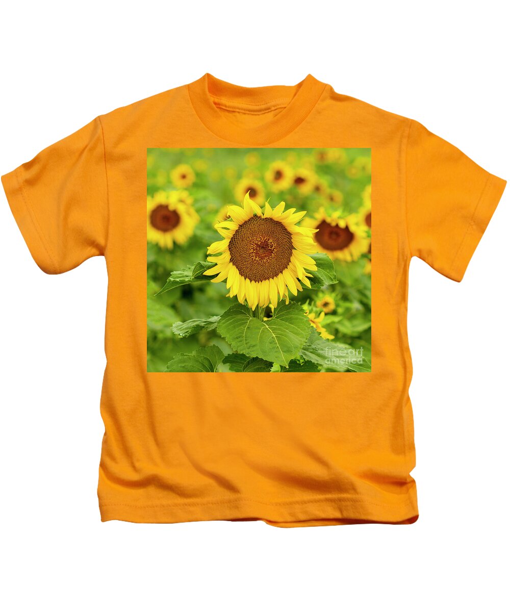 Sunflower Kids T-Shirt featuring the photograph Sunflower #1 by Ronda Kimbrow