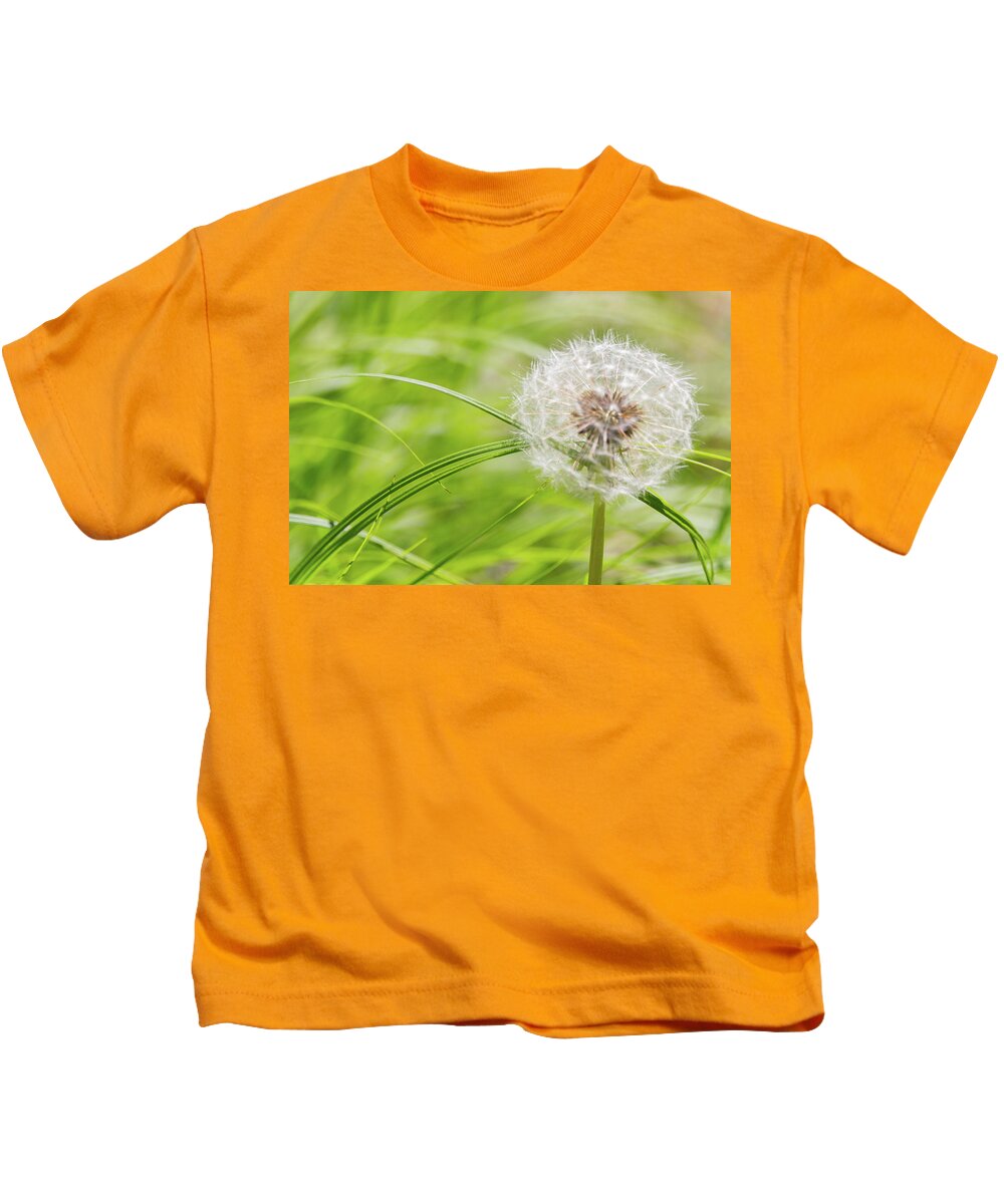 Abstract Kids T-Shirt featuring the photograph Abstract Grass and Dandelion by SR Green