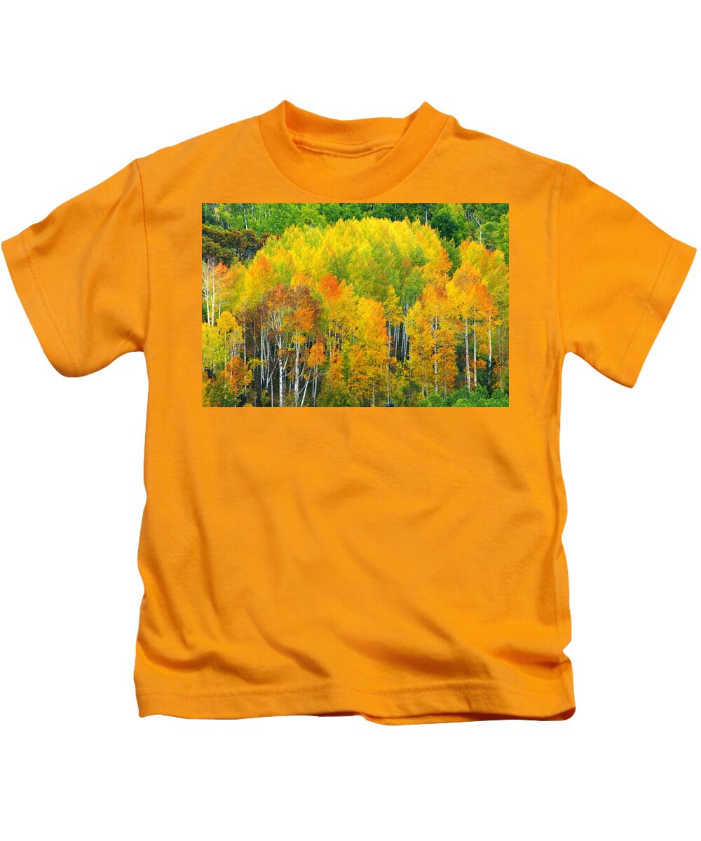 Horizontal Kids T-Shirt featuring the photograph Autumn Aspens by Eggers Photography