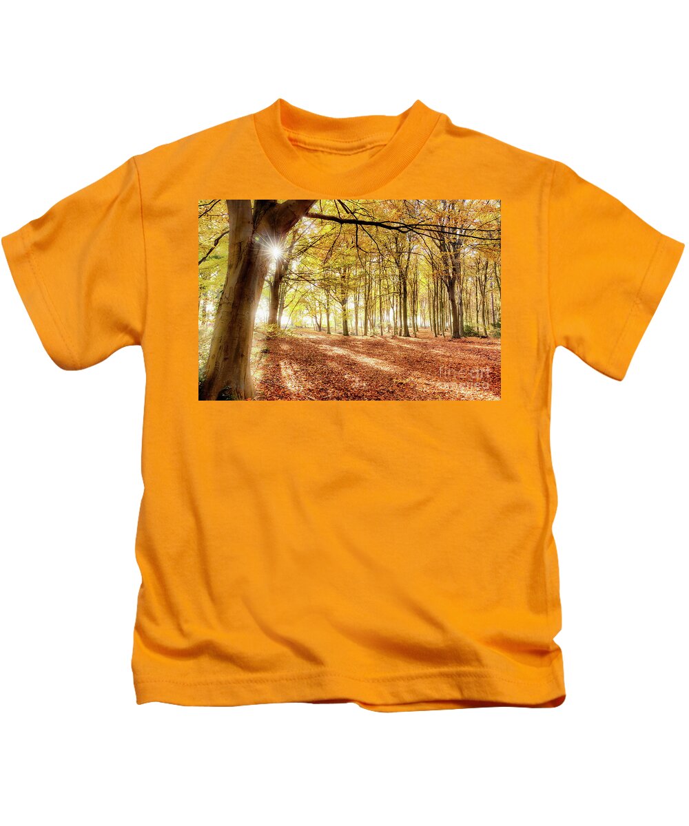 Woodland Kids T-Shirt featuring the photograph Norfolk autumn in amazing colour by Simon Bratt