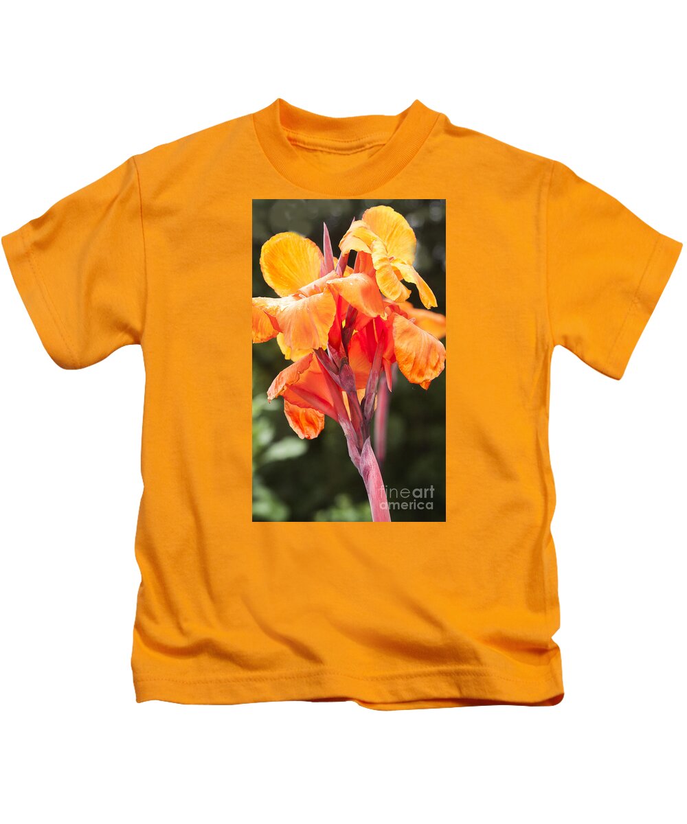 Canna Lily Kids T-Shirt featuring the photograph Canna by Barry Weiss
