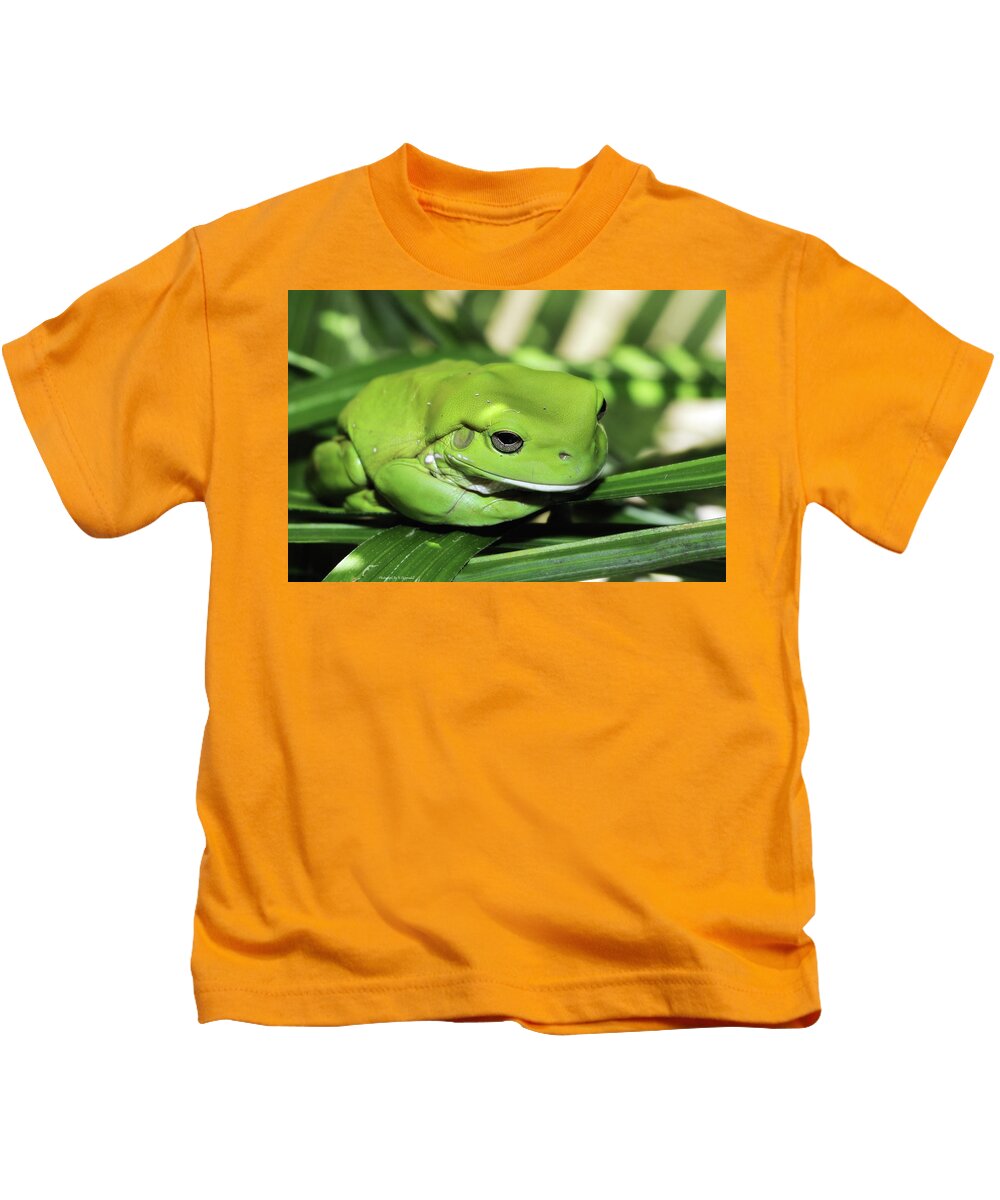 Green Frog Photography Kids T-Shirt featuring the photograph Cool green frog 001 by Kevin Chippindall