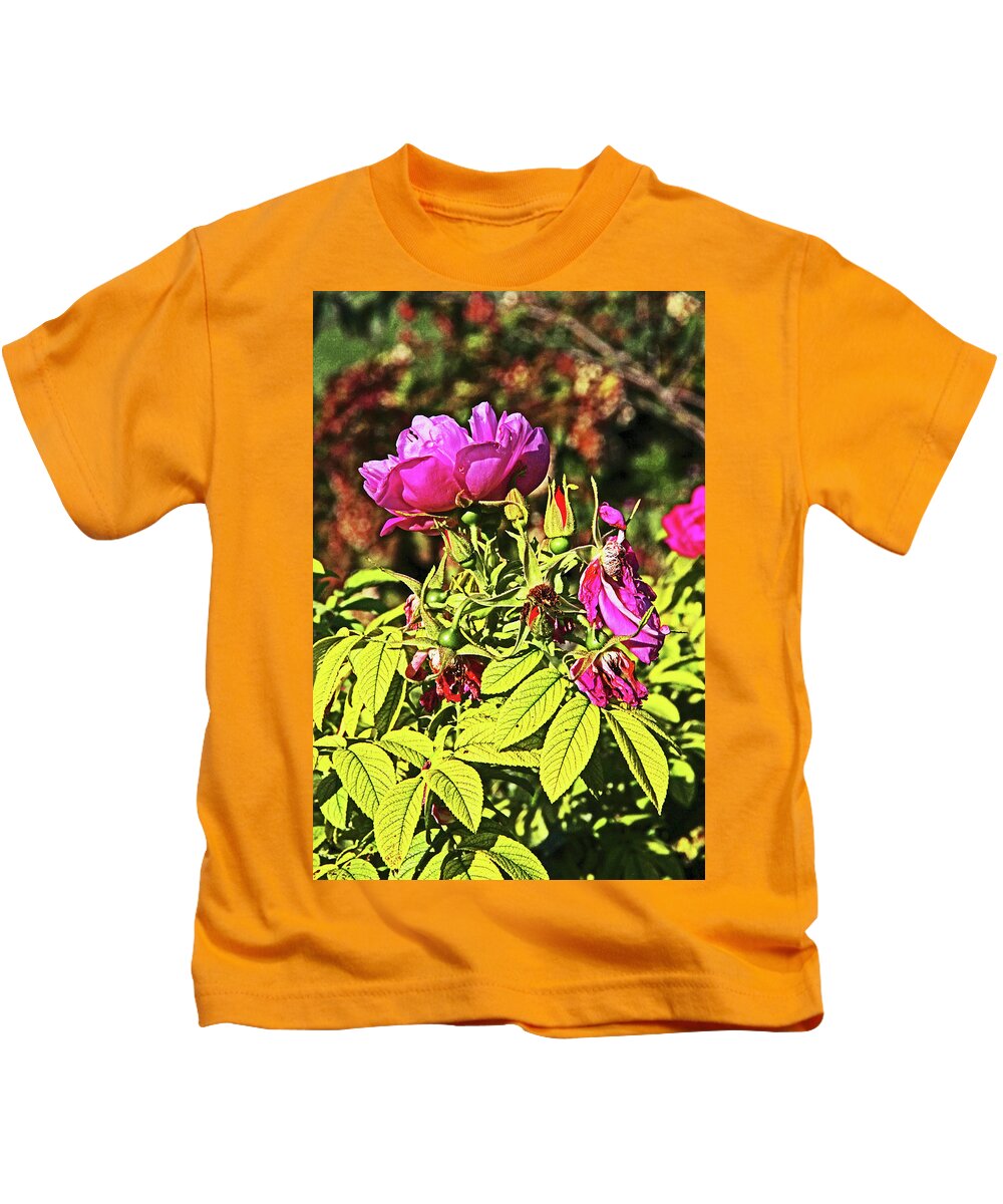 Deep Purplish Pink Rose Blossoms Buds Fading Petals Bright Green And Autumn Leaves Background Kids T-Shirt featuring the photograph Deep Purplish Pink Rose Blossoms Buds Fading Petals Bright Green and Autumn Leaves Background 2 915 by David Frederick