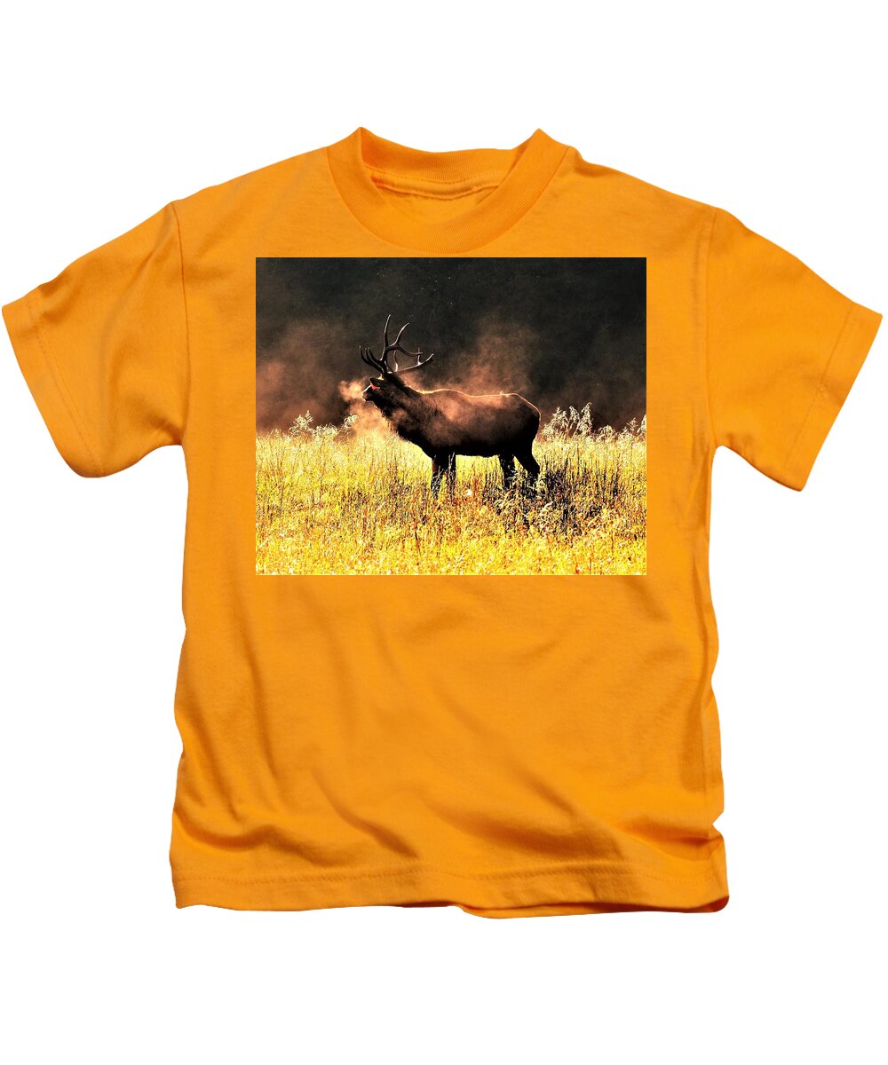 Bull Elk Kids T-Shirt featuring the photograph Early morning steam by Chuck Brown