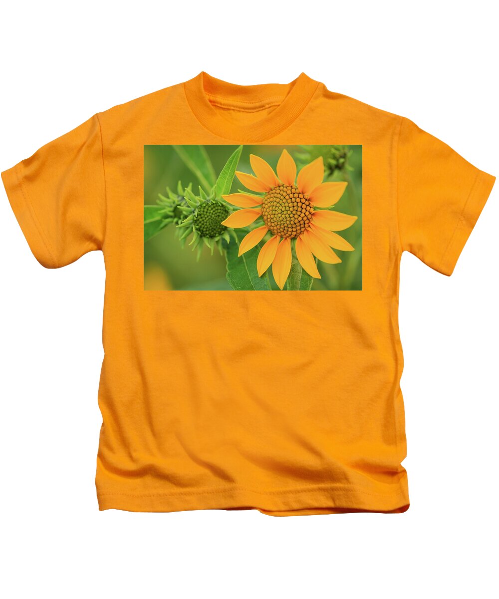 Beautiful Kids T-Shirt featuring the photograph Late Summer Wildflower in Color by Joni Eskridge