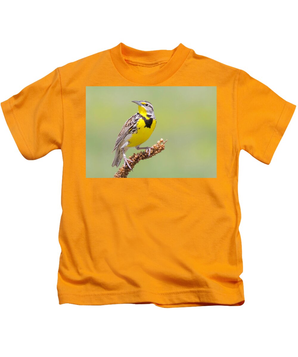 Meadowlark Kids T-Shirt featuring the photograph Meadowlark Perched on a Weed by Lowell Monke