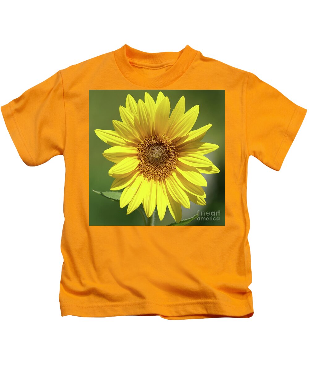 Sunflower Kids T-Shirt featuring the photograph Sunflower in the Sun by Robert E Alter Reflections of Infinity
