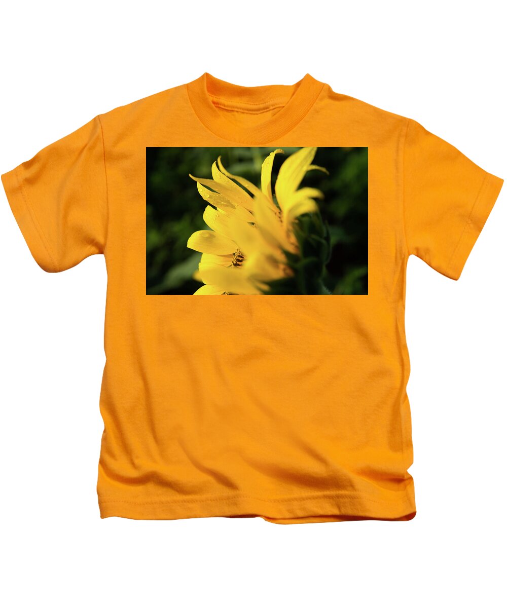 Bloom Kids T-Shirt featuring the photograph Water Drops and Sunflower Petals by Dennis Dame