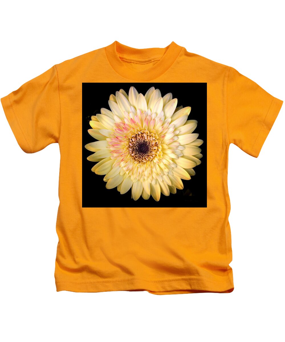 Scoobydrew81 Andrew Rhine Flower Flowers Yellow Pink Cream Petals Bloom Blooms Macro Botanical Black Contrast Petal Botanical Botany Floral Flora Simple Round Spring Gerbera Daisy Art Sunny Soft Kids T-Shirt featuring the photograph Yellow Pink Bloom 1 by Andrew Rhine