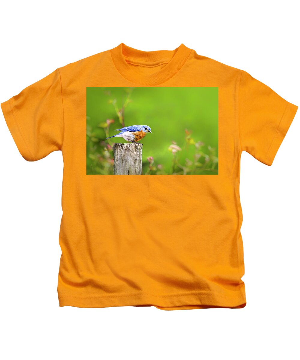 Birds Kids T-Shirt featuring the photograph Spring Bluebird by Christina Rollo