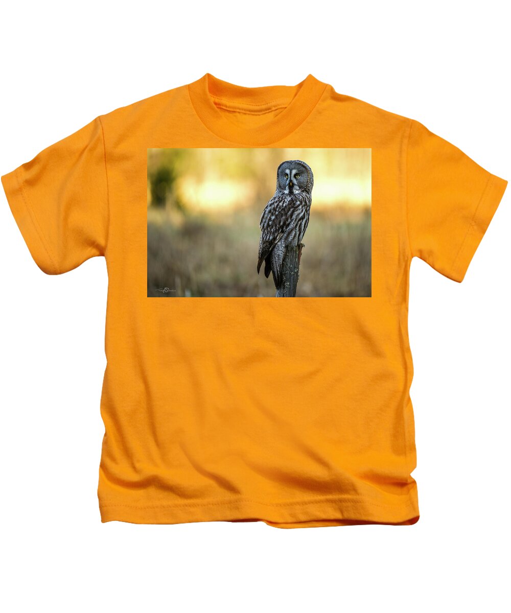 Great Grey Perching Kids T-Shirt featuring the photograph The Great Gray Owl in the morning by Torbjorn Swenelius