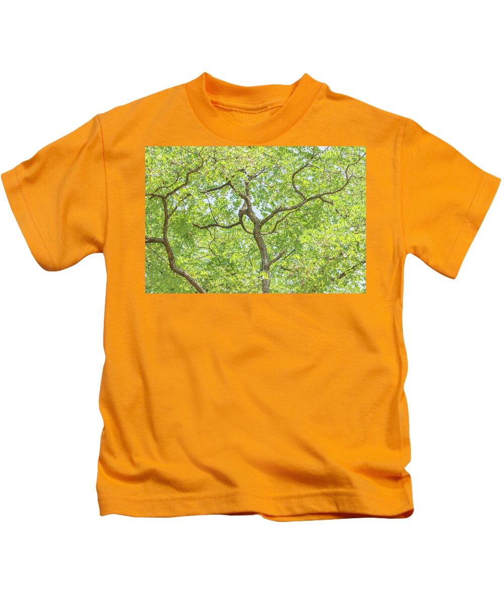 Arnos Park Kids T-Shirt featuring the photograph Arnos Park Trees Summer 1 by Edmund Peston