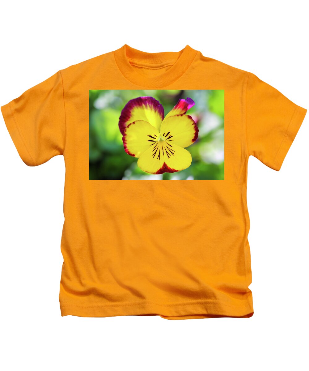 Colors Kids T-Shirt featuring the photograph Brilliant Colors by Scott Burd