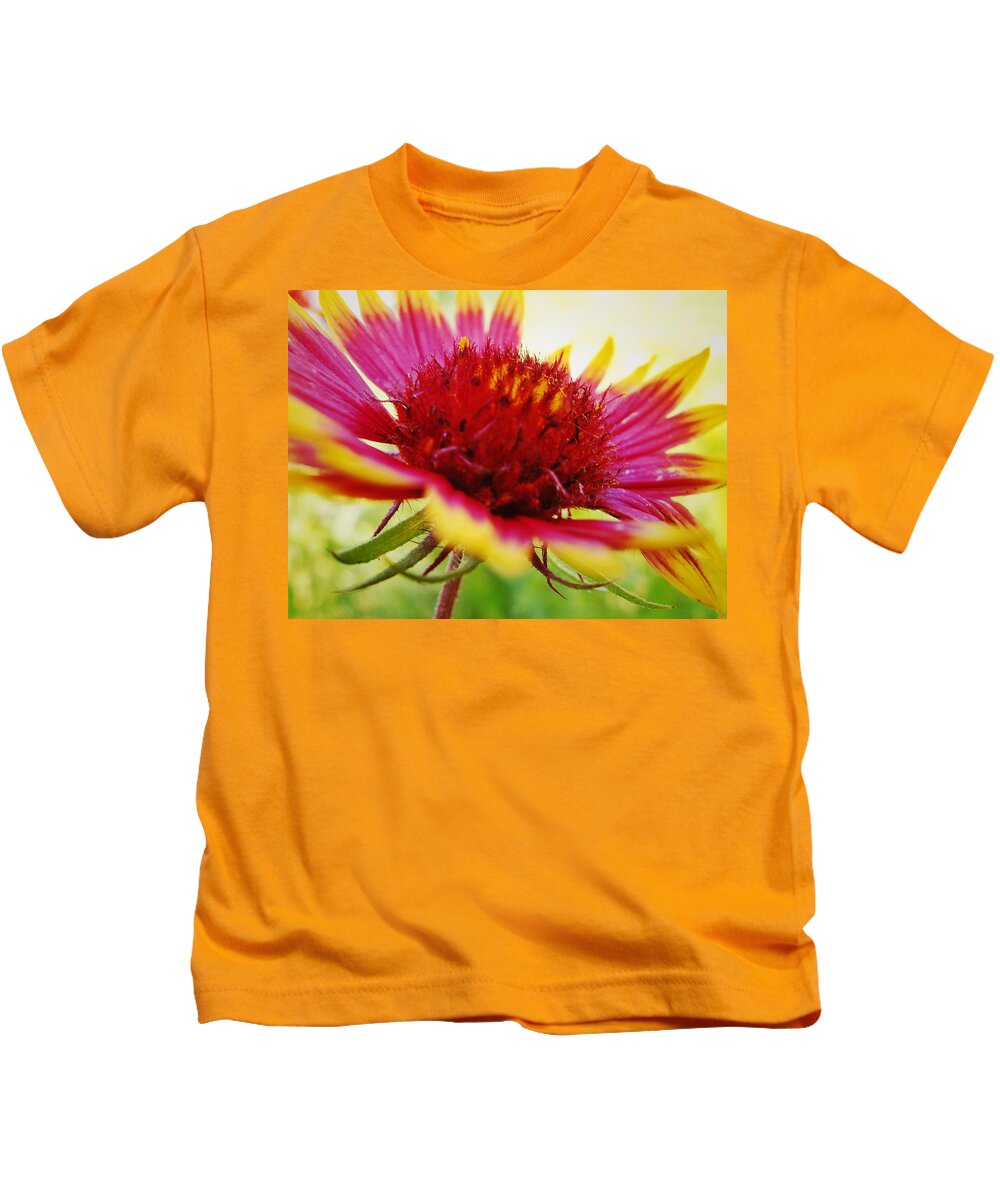 Wildflower Kids T-Shirt featuring the photograph Close Up of Indian Blanket Flower by Gaby Ethington
