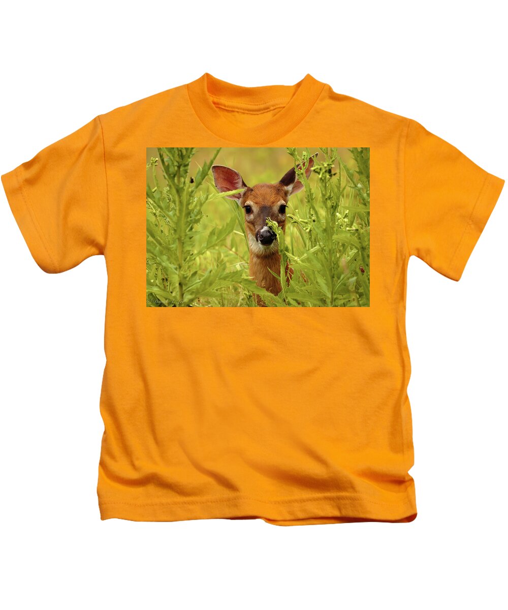 Wildlife Kids T-Shirt featuring the photograph Fawn by David Lee