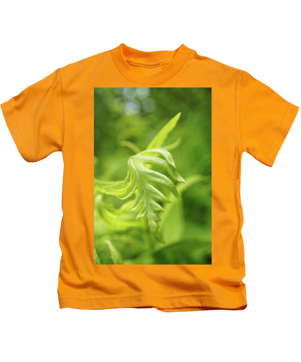 Green Kids T-Shirt featuring the photograph Green fern leaves by Lilia S