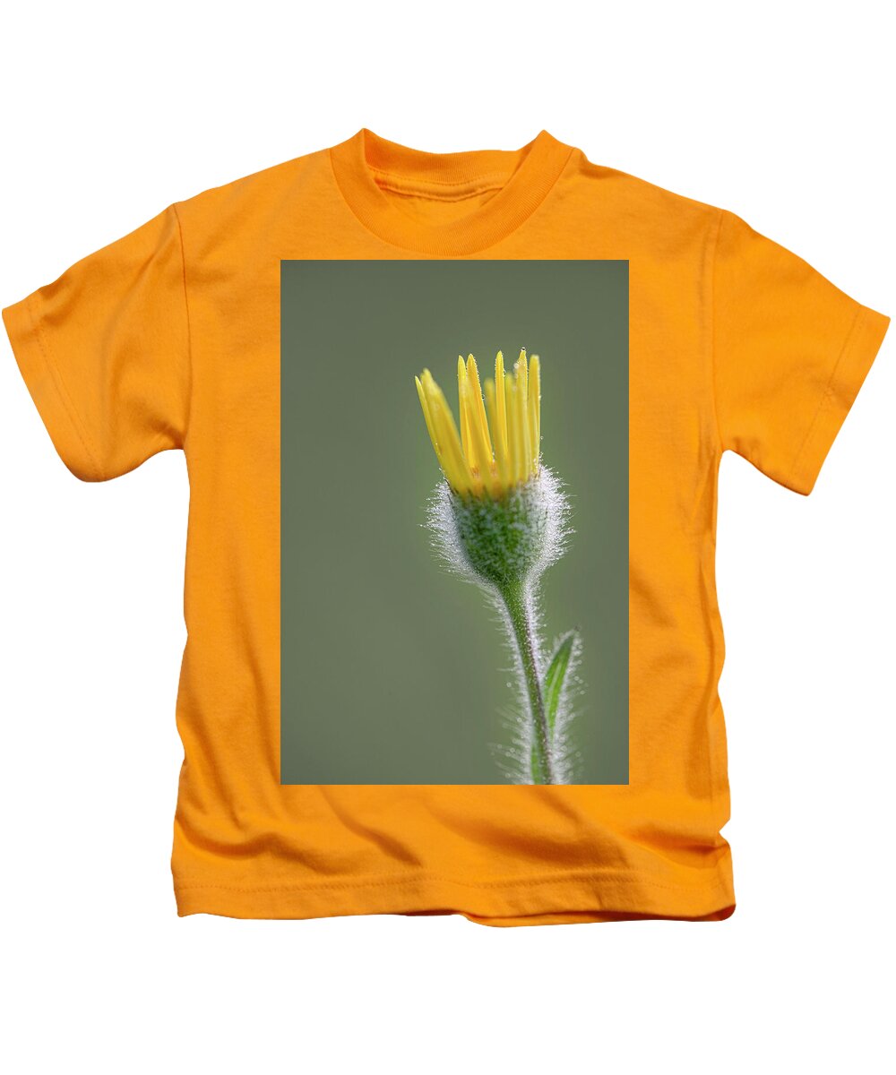 Groundsel Kids T-Shirt featuring the photograph Groundsel Flower by Karen Rispin