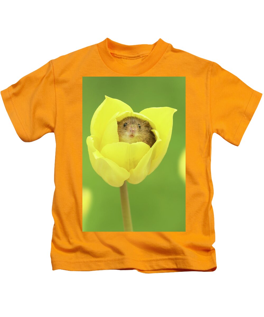 Harvest Kids T-Shirt featuring the photograph HMtulips by Miles Herbert
