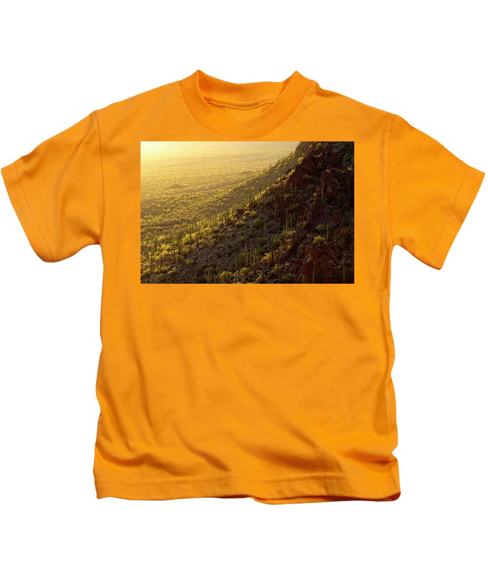 Arizona Kids T-Shirt featuring the photograph Palo Verde Gold by James Covello