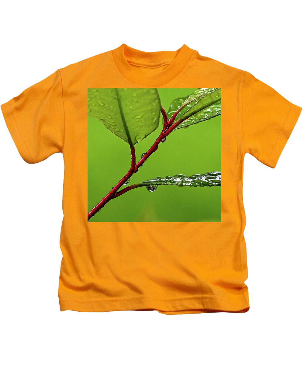 Spring Kids T-Shirt featuring the photograph Spring Rain by Kevin Suttlehan