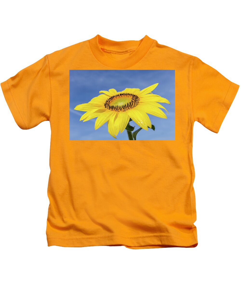 Sunflower Kids T-Shirt featuring the photograph Sunflower against blue sky by Robert Miller