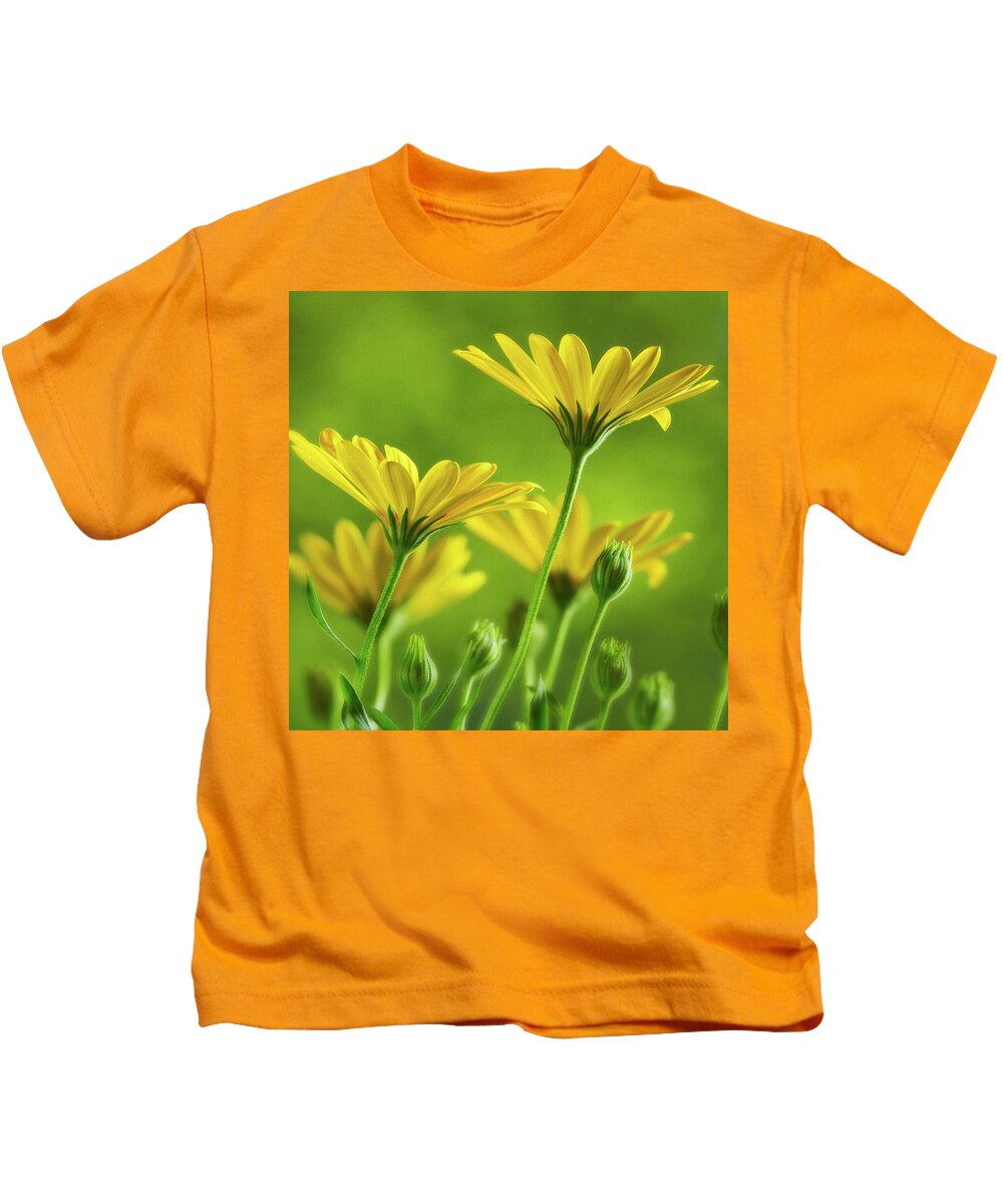 Yellow Daisey Kids T-Shirt featuring the photograph Sunny Spring Morning by John Rogers