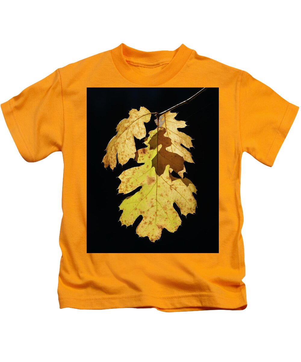 Yosemite National Park Kids T-Shirt featuring the photograph Life is Fragile by Brett Harvey