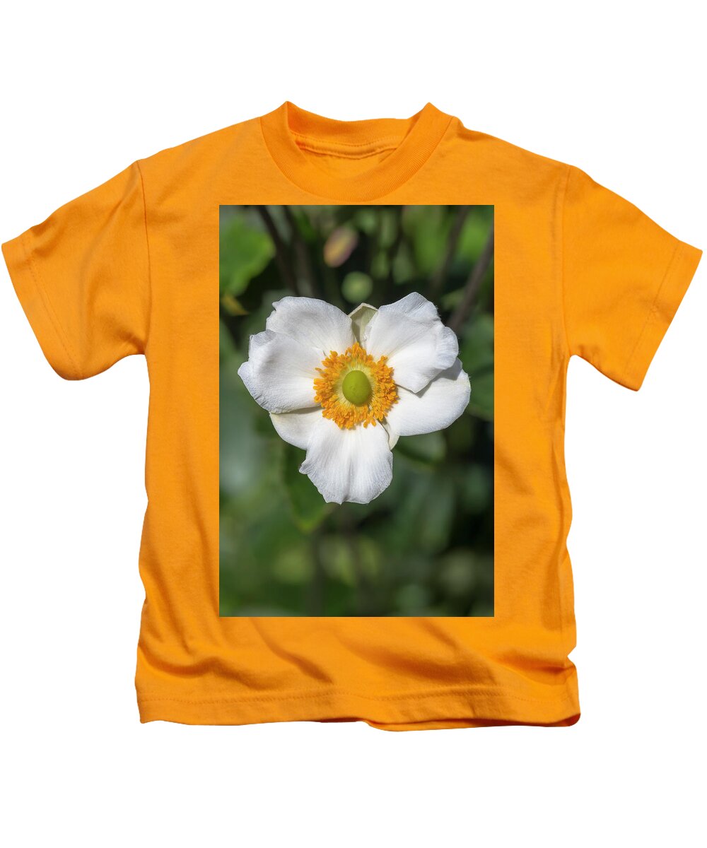 Flower Kids T-Shirt featuring the photograph White Japanese Anemone by Dawn Cavalieri